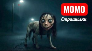 МОЯ СОБАКА МОМО. СТРАШИЛКИ ПРО МОМО.
