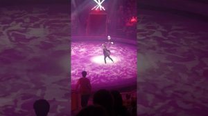 Ивановский цирк 3