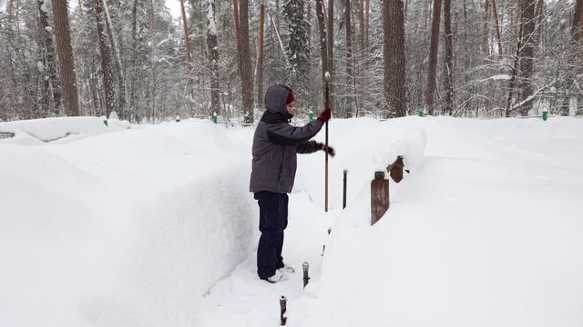 Новый рекорд в Летописи природы