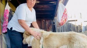 Пока не забыла расскажу