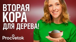 ЗАТЯНУТСЯ ВСЕ РАНЫ НА ДЕРЕВЬЯХ после этой целебной замазки! +Тест популярных садовых красок