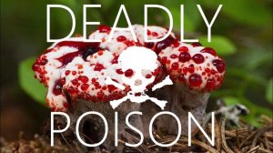 ⚠️ Растения, которые убивают: Опасно для жизни!