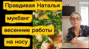 Мукбанг с мужем . Готовиться к весне надо