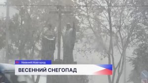 Сильный снегопад продлится почти сутки, предупреждают синоптики