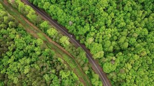 4K_HD_Душевная_классическая_музыка_лучших_композиторов_всех_времен