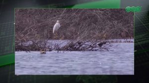 С 1 марта в Башкирии стартовала «Весенняя перекличка-2026»