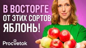 Если бы нужно было посадить только 3 яблони, то я выбрала бы эти сорта