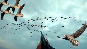 BULT: Hunting simulator в поисках Гусяяя!