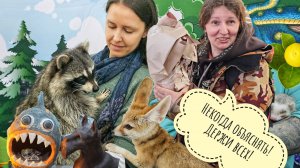 Енотик и Маша! Небольшой обзор зверюшек на ЗооФесте и цветущих растений к 8 марта в Леруа и ОБИ