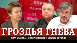 Только КПРФ, или Как московские протесты помогают людям по всей России | Мысина | Потёмко | Бирюков