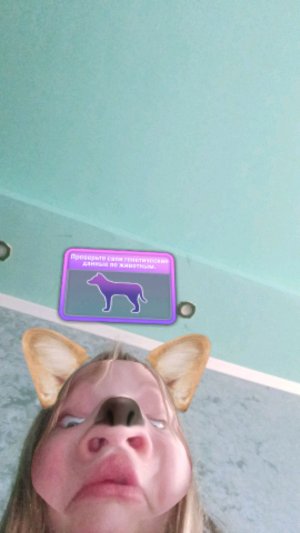 Аня(я) отвечаю на вопросы