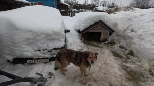 Все соседи переругались... Будем жить...