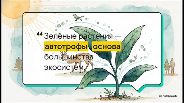 Биология 6 класс параграф 19 ФОТОСИНТЕЗ краткий пересказ Пасечник