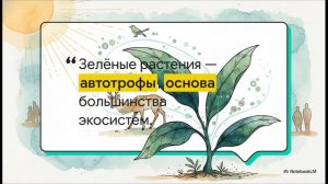 Биология 6 класс параграф 19 ФОТОСИНТЕЗ краткий пересказ Пасечник