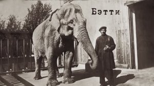 Лекция №3 Бэтти