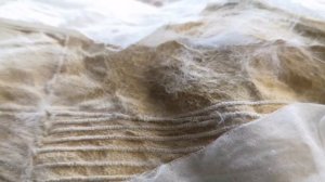 Норковая шуба. ШОК у эксперта.