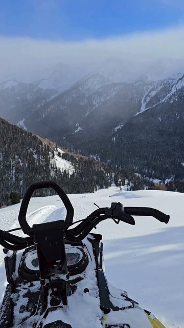 Ради этих видов…