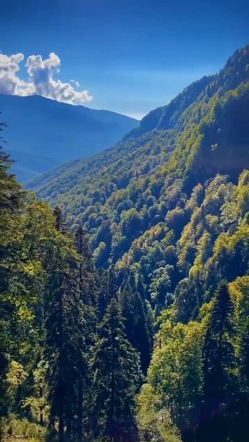 Природный парк Менделихa