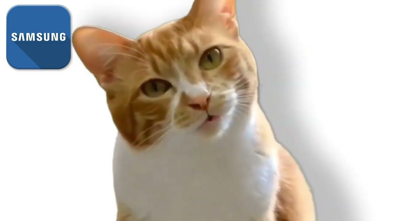 РЕМИКС РИНГТОНОВ РАЗНЫХ БРЕНДОВ СМАРТФОНОВ С КОТОМ!!! МЯУ-МЯУ АЙФОН, САМСУНГ, ХУАВЕЙ!!! РЕАКЦИЯ! 😽