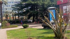 Что творится в Сочи в марте?Сочи сегодня:цветут магнолии,прогулка от Морского вокзала по Навагинской