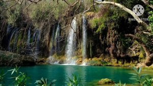 мы родились в Сибири//не могу больше молчать//обзор канала