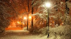 В_Барсуков_А я весну увидел в декабре