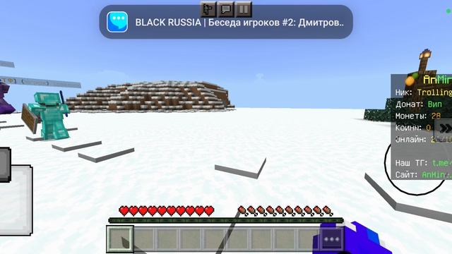 играю с Ромой в minecraft на сервере владуса