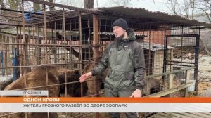 Название для соцсетей	Грозный зоопарк во дворе дома в Грозном