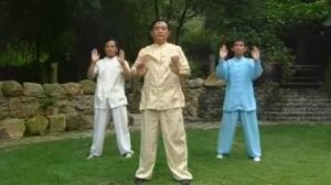 20. Заключительная форма Возвращение к Истоку Ли Чжэн