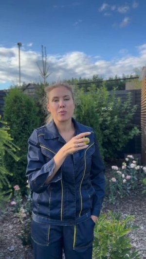 Зеленые томаты: слаще красных в разы