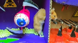 Зомби-растение с лабиринтом «Спасение хомяка» из серии «Истории о хомяках»