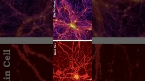 Apastit reaction - Magical Universe