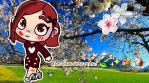 Как вам моя оска? 🐾🍃💓✨🐿️🩷💫