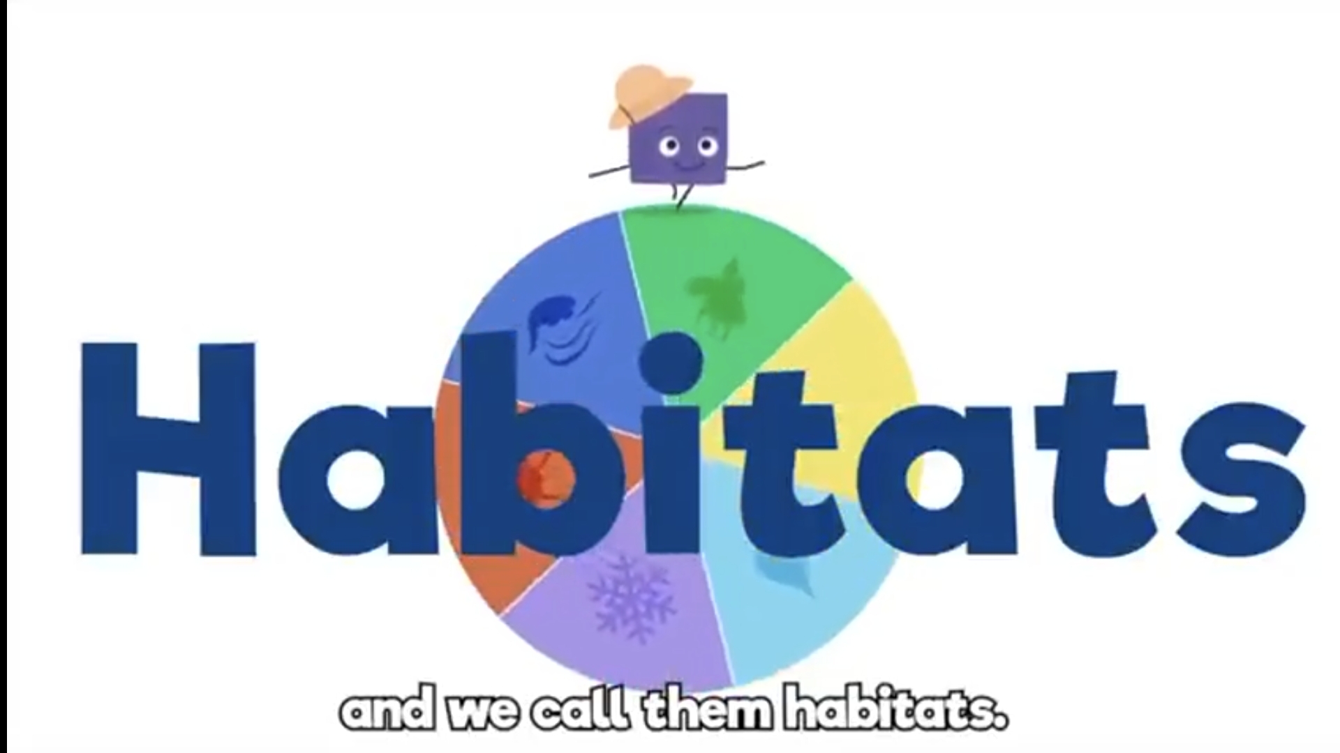 Habitats song - Песня про среды обитания