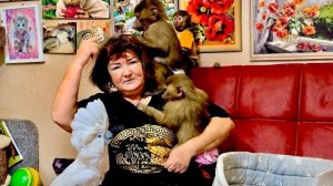 Денис пришел домой и застал вот такую КАРТИНУ МАСЛОМ, на мне сидят дружно три гамадрила и какаду )))