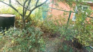 ВЛОГ_ Жарим вкусные колбаски на даче. Мама, папа, я