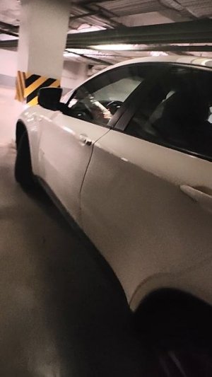 VID_20260224_173659.mp4