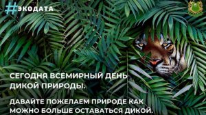 Всемирный день дикой природы