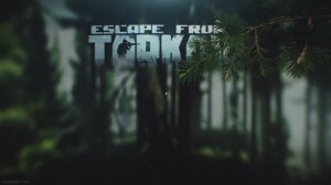 Escape from Tarkov - симулятор загрузки