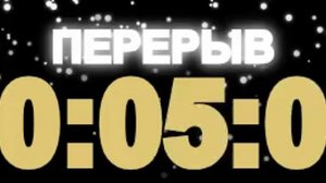 Таймер: 10 мин Перерыв 550x150 30fps Снег