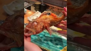 солим по-японски