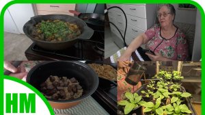 2 марта. Готовлю халим и азу из говядины. Подкормила петунии.