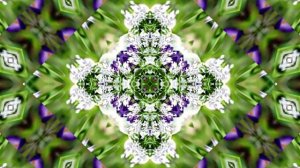 Видеофоны! Видеофон Подснежники 10! Футаж от Киностудии Мудрого Кота Тимофея!