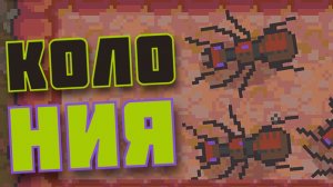 МОЯ КОЛОНИЯ МУРАВЬЕВ ! в Ant Colony: Wild Forest