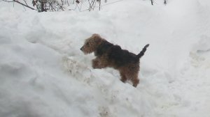 Встречаем Весну-1-3-2026