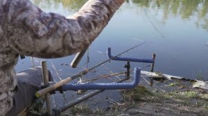 Larvicom pred zimski san 1. Deo EP220_19122023