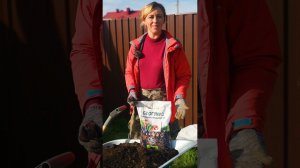 СМОРОДИНУ И КРЫЖОВНИК САЖАЕМ ПО-НОВОМУ! Ягоды будут крупнее и слаще! Мастер-класс по посадке