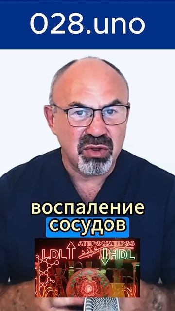 ТРАНСЖИРЫ ПОЧЕМУ ОНИ РАЗРУШАЮТ СОСУДЫ И ВЕДУТ К ДИАБЕТУ #трансжиры #холестерин #диабет