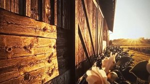 Рыма Чек - месть брошенной женщины