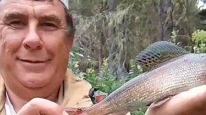 На рыбалке 🐟 у костра